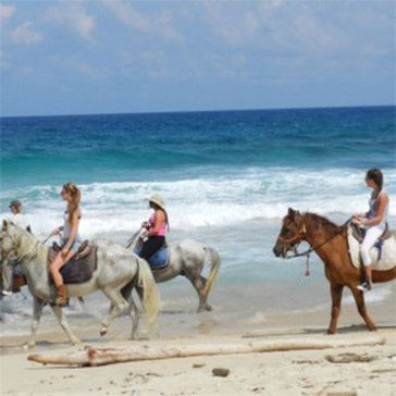 tour-img - Reggae Horseback Riding Jamaica